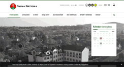 Desktop Screenshot of brzyska.pl
